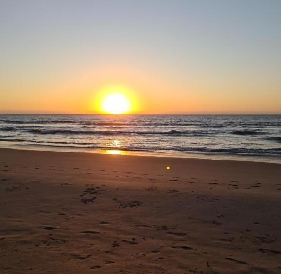 호텔 Maracol Bungalows Vichayito