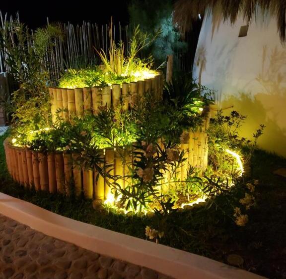 호텔 Maracol Bungalows Vichayito