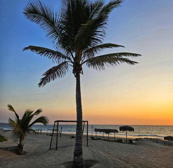 호텔 Maracol Bungalows Vichayito