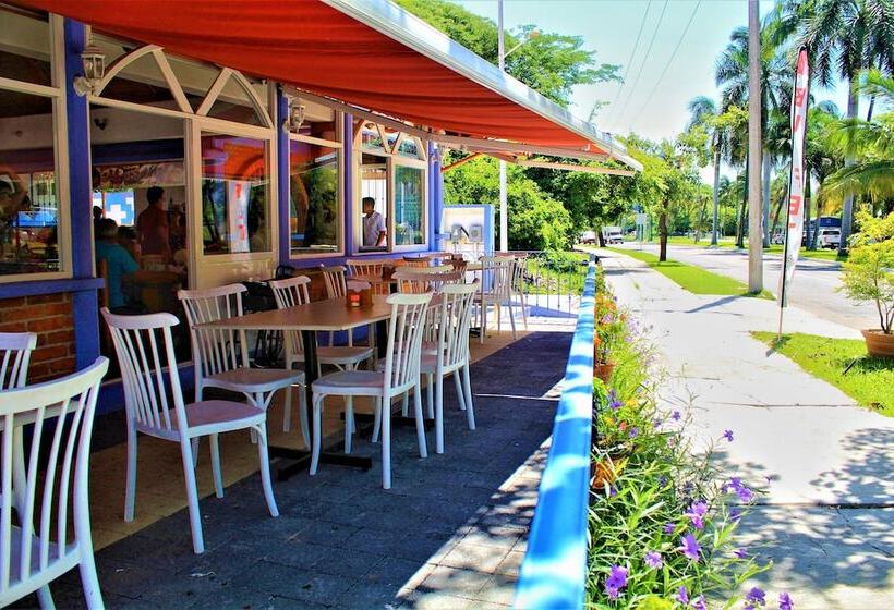 Отель Mexico Lindo