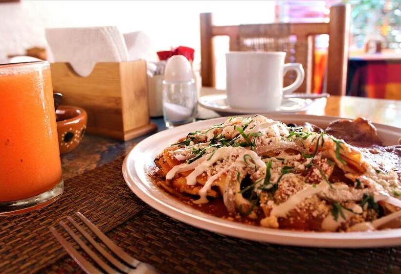 Отель Mexico Lindo