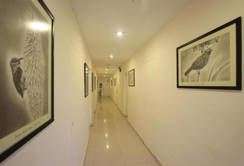 Отель Orchid Square