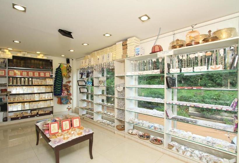 Отель Orchid Square