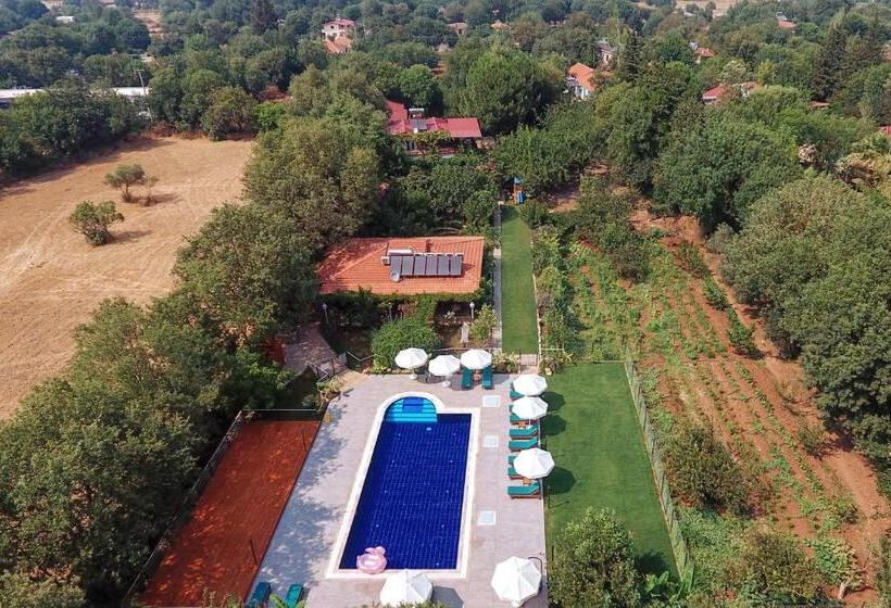 فندق Pyramid Boutique