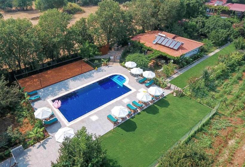 בית מלון כפרי Pyramid Boutique