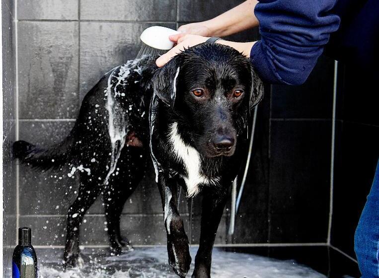 酒店 The Salt Lodge