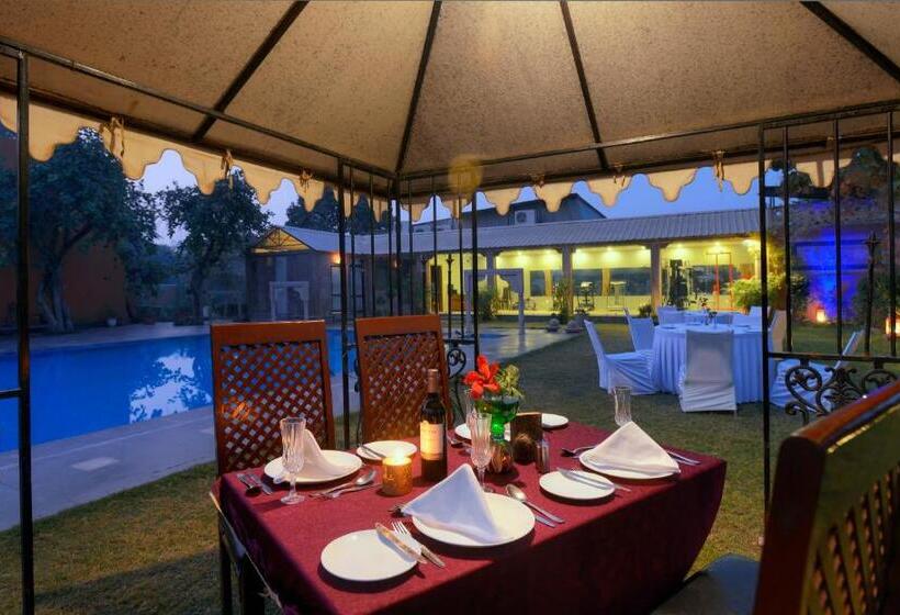 Отель Treehouse Amaara A Boutique