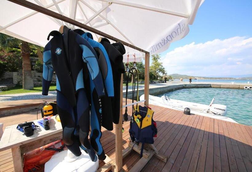 Oliviera Private Island Hotel   Kalem Island