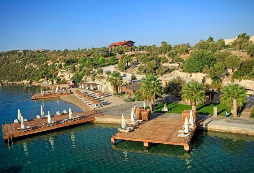 Oliviera Private Island Hotel   Kalem Island