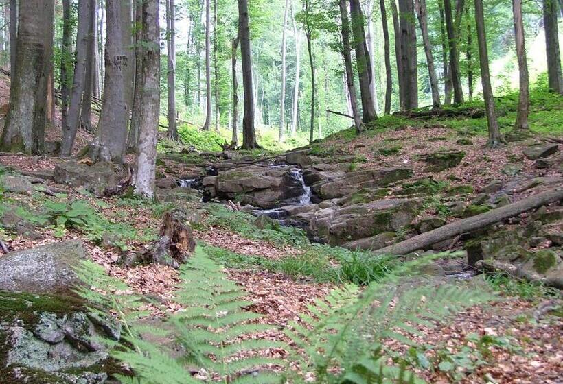 پانسیون аня рома