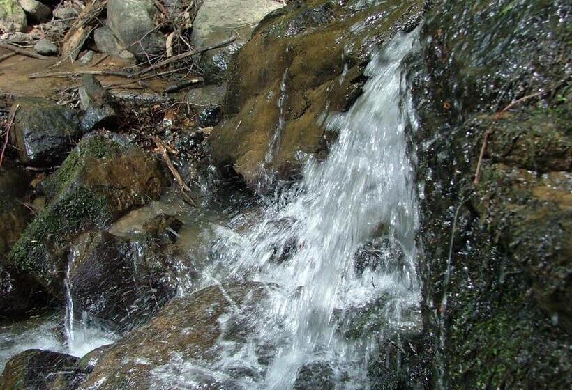 پانسیون аня рома