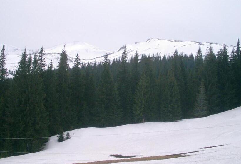 پانسیون аня рома