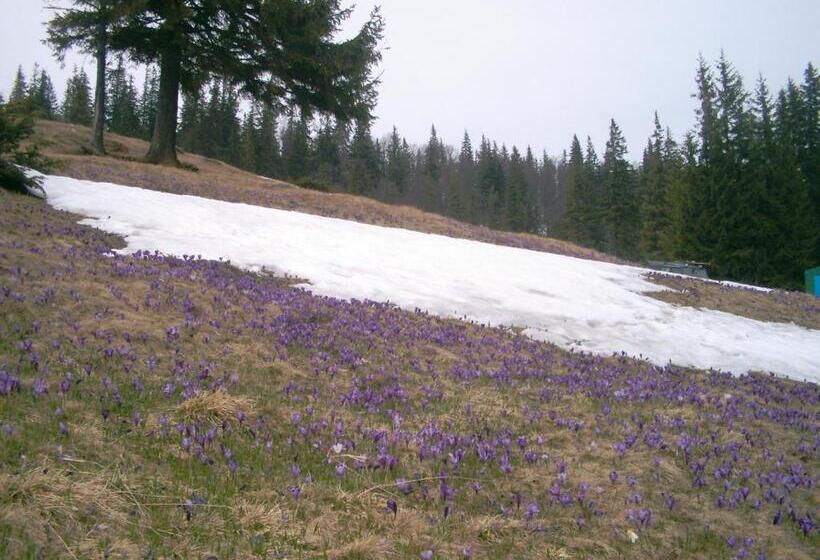 پانسیون аня рома