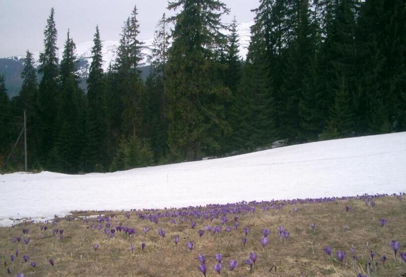 پانسیون аня рома