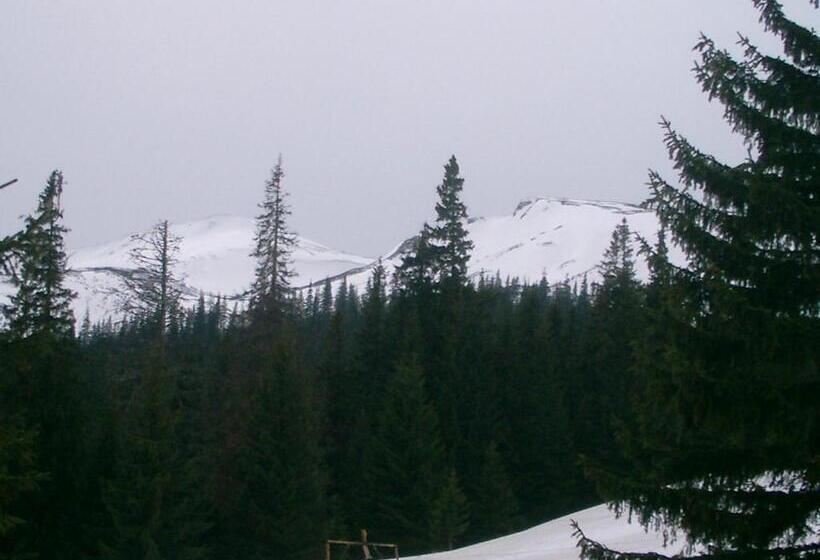 پانسیون аня рома