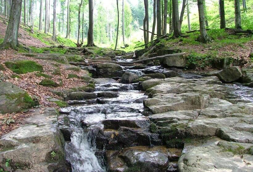 پانسیون аня рома