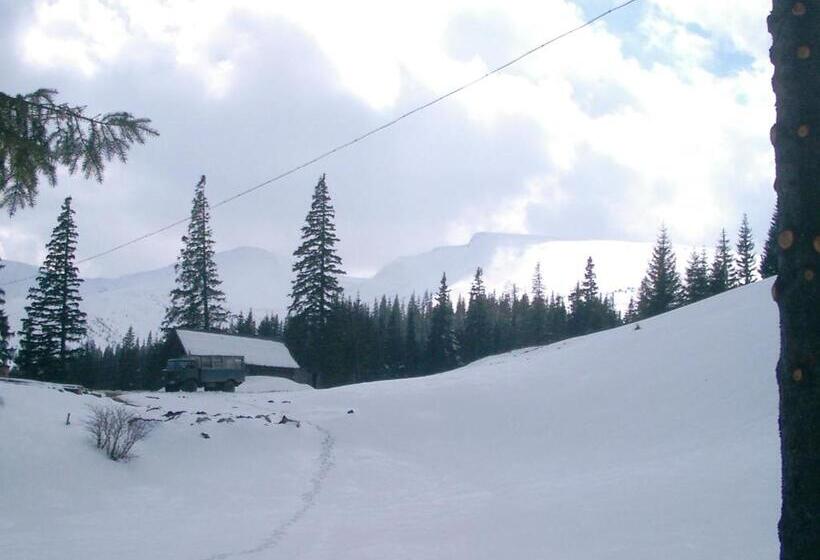 پانسیون аня рома