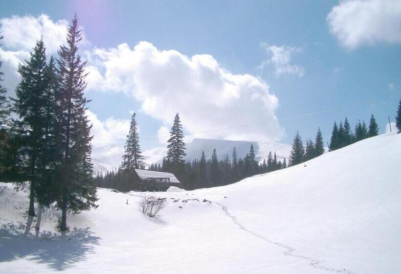 پانسیون аня рома