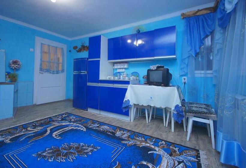 پانسیون аня рома