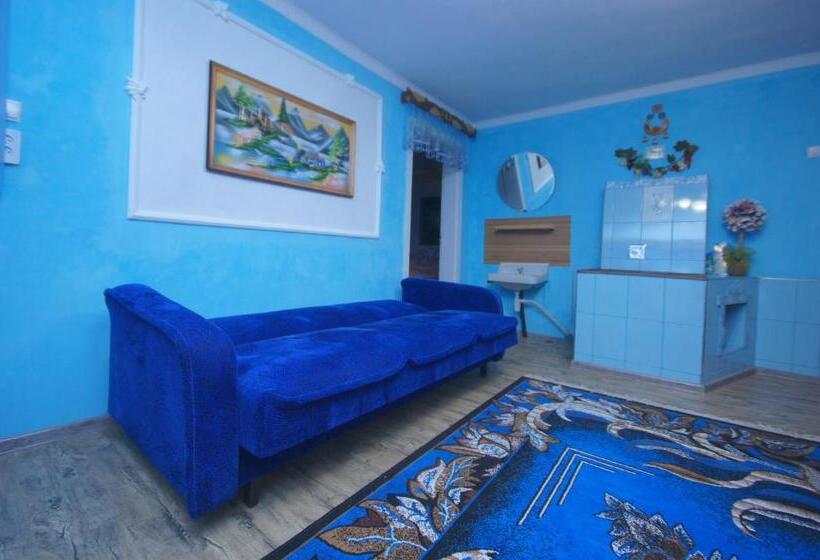 پانسیون аня рома