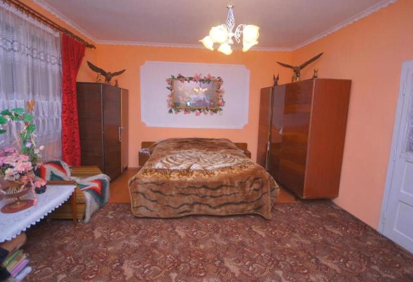 پانسیون аня рома