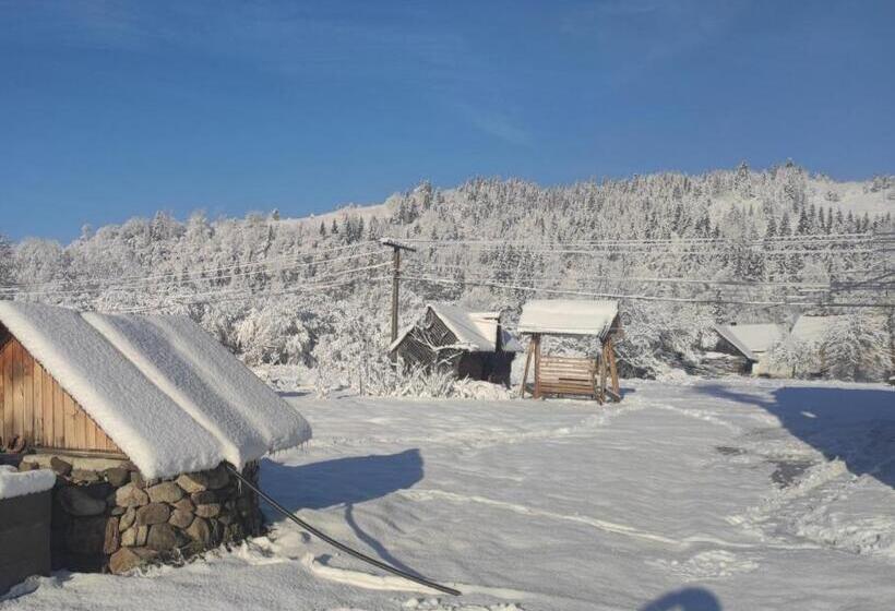 Pensiune у мирослави