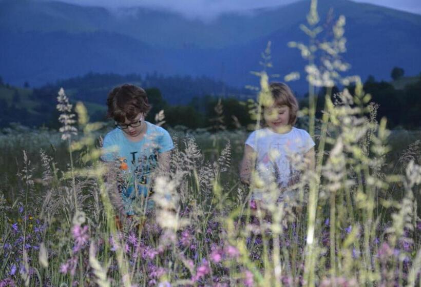 Pensiune у мирослави