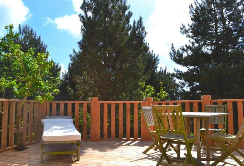 ペンション Chambres D Hôtes Le Nid D Iroise