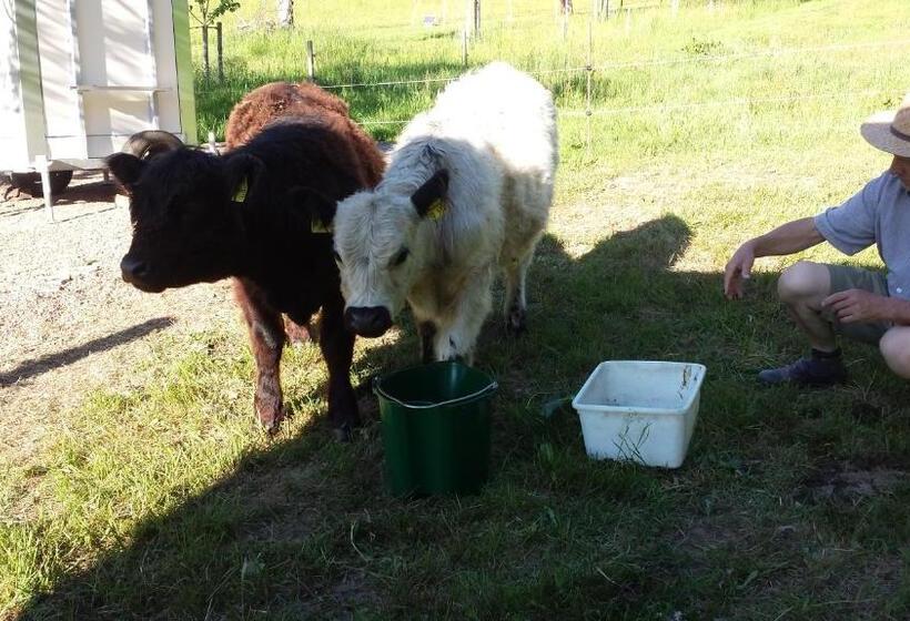 펜션 Gästehaus Cornelia