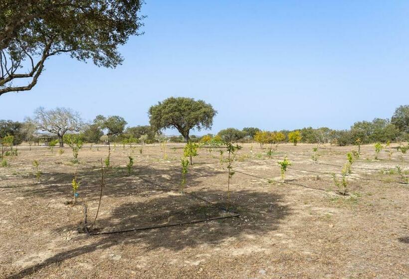 بنسيون Change The World   Herdade Monte Do Peral