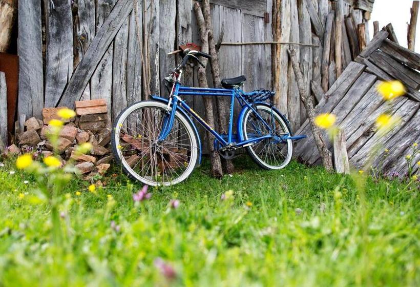 펜션 Hindiba Doga Evi