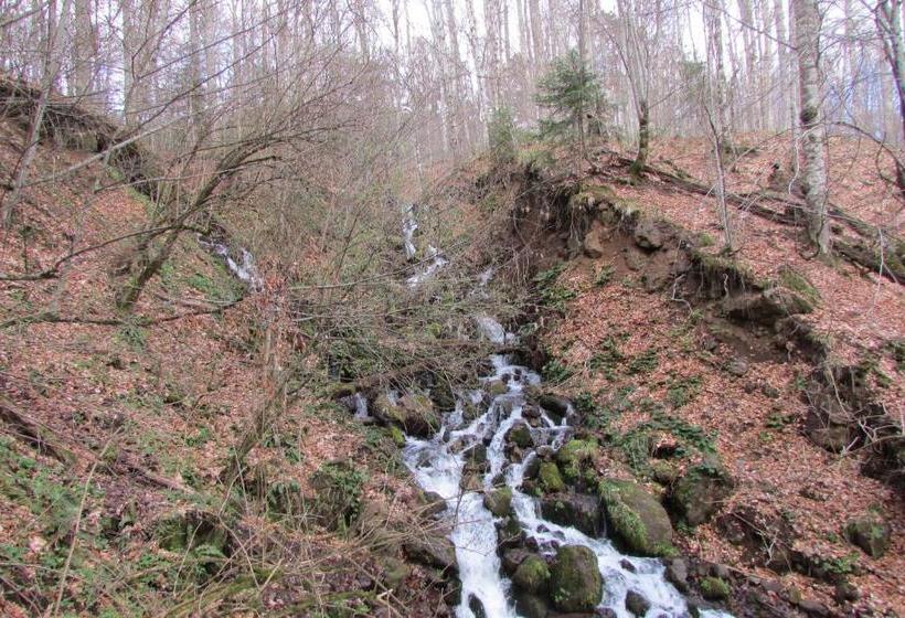 펜션 Hindiba Doga Evi