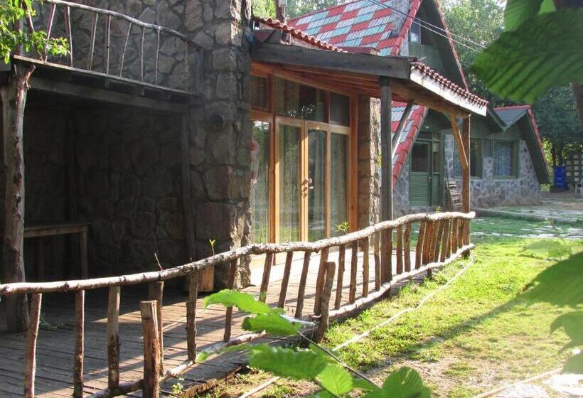 펜션 Hindiba Doga Evi