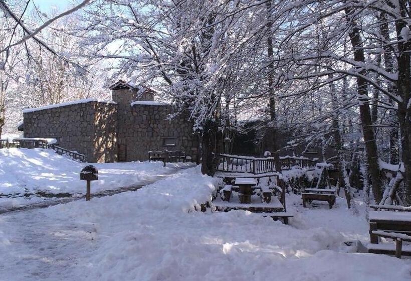 펜션 Hindiba Doga Evi