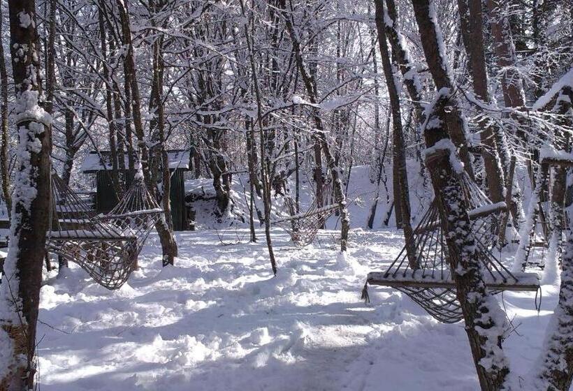 펜션 Hindiba Doga Evi