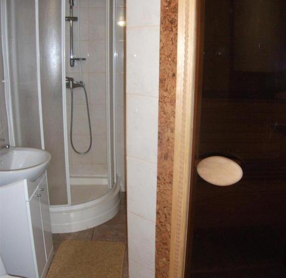 پانسیون Karpatskyi Gomin