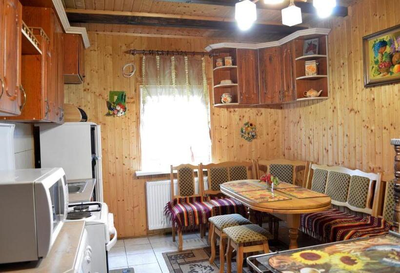 بنسيون Karpatskyi Gomin