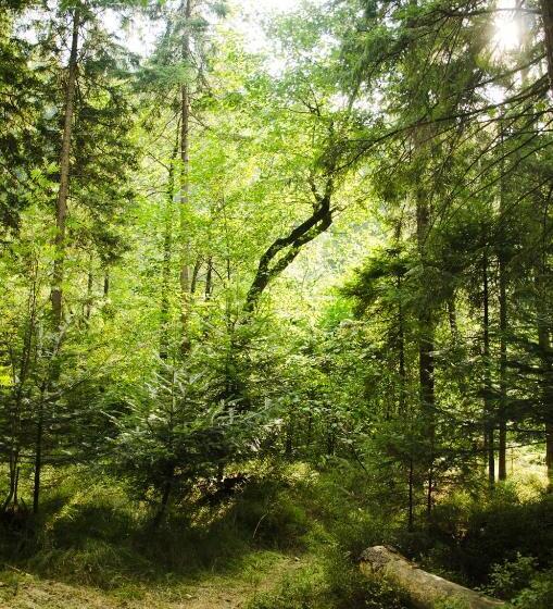 ペンション Kryvorizka Palanka