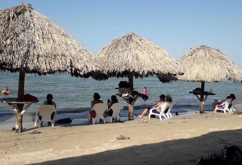 펜션 La Casa Mono Cuco Hostel