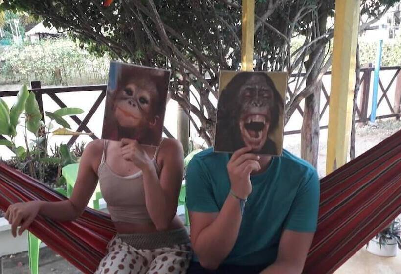 펜션 La Casa Mono Cuco Hostel