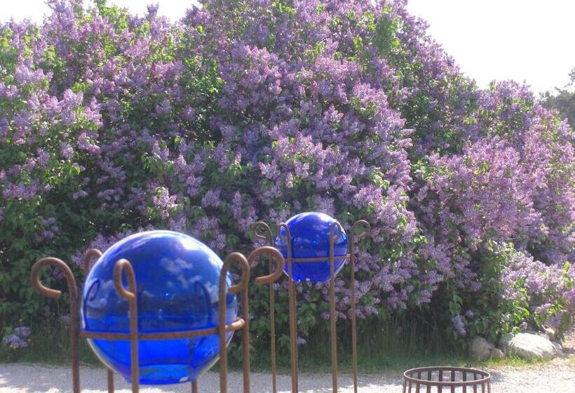 膳宿费 ängshyddan B&b