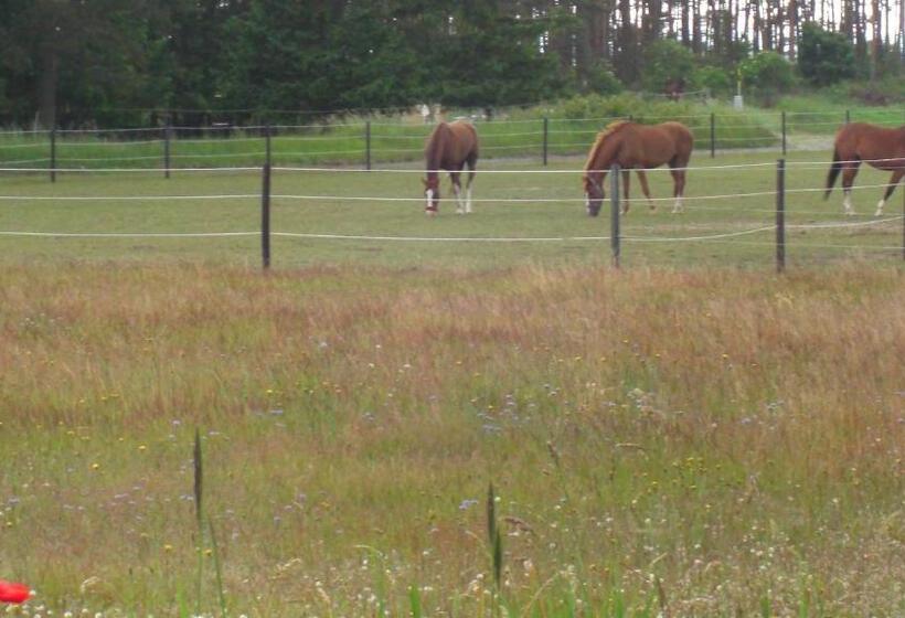 膳宿费 ängshyddan B&b