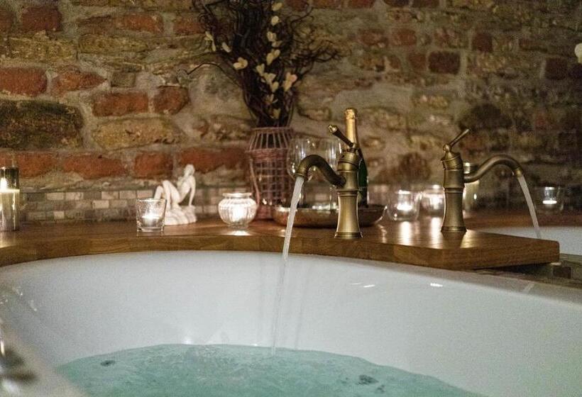 ペンション Penzion Královské Lázně