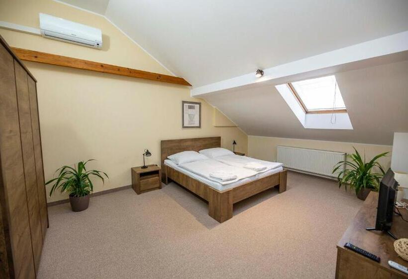 ペンション Penzion Královské Lázně