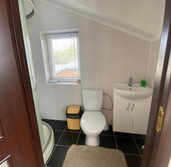 پانسیون Prykarpatska Villa