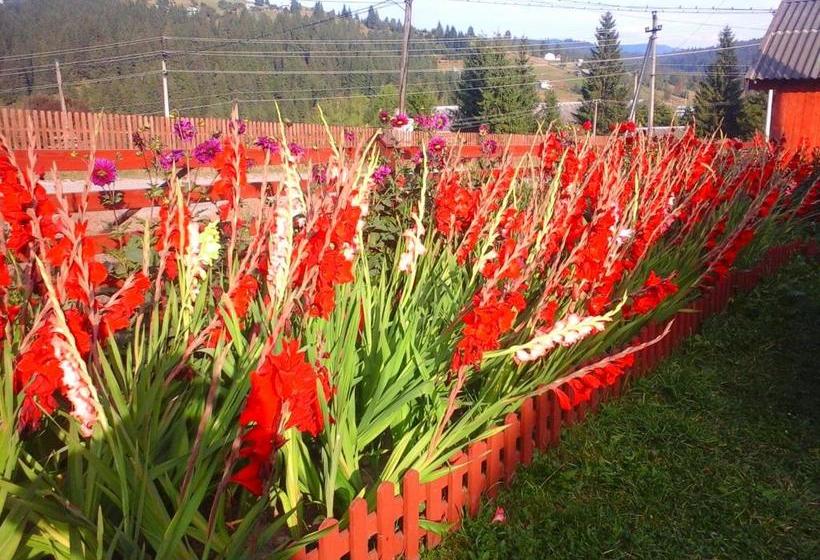 膳宿费 Romashka Guest House