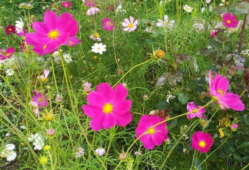 펜션 Sadyba U Anastasijky