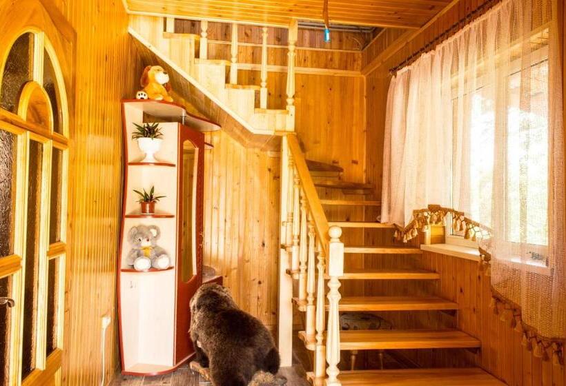 Пансион Synevyrskyj Chardash