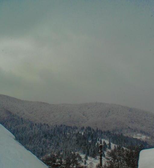 Пансион Synevyrskyj Chardash