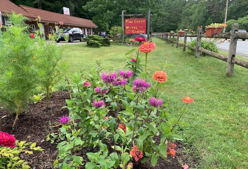 Pine Crest Motel & Cabins